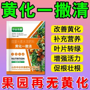 果树黄化一撒清一撤清黄龙柑橘沃柑砂糖橘粑粑柑槟榔专用药Y元 素