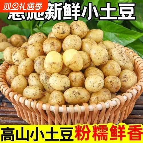 2025新土豆正宗现挖黄皮土豆新鲜马铃薯洋芋当季整箱农家便宜批发