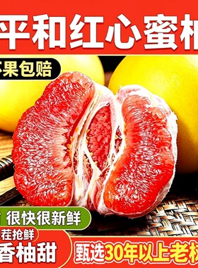【单果果王3斤+】正宗福建漳州平和红心蜜柚红肉柚子甜柚特大果
