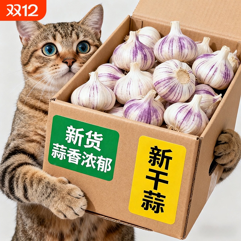 【新干蒜】山东农家干大蒜紫皮特大蒜王新鲜蒜头便宜批发特级干蒜