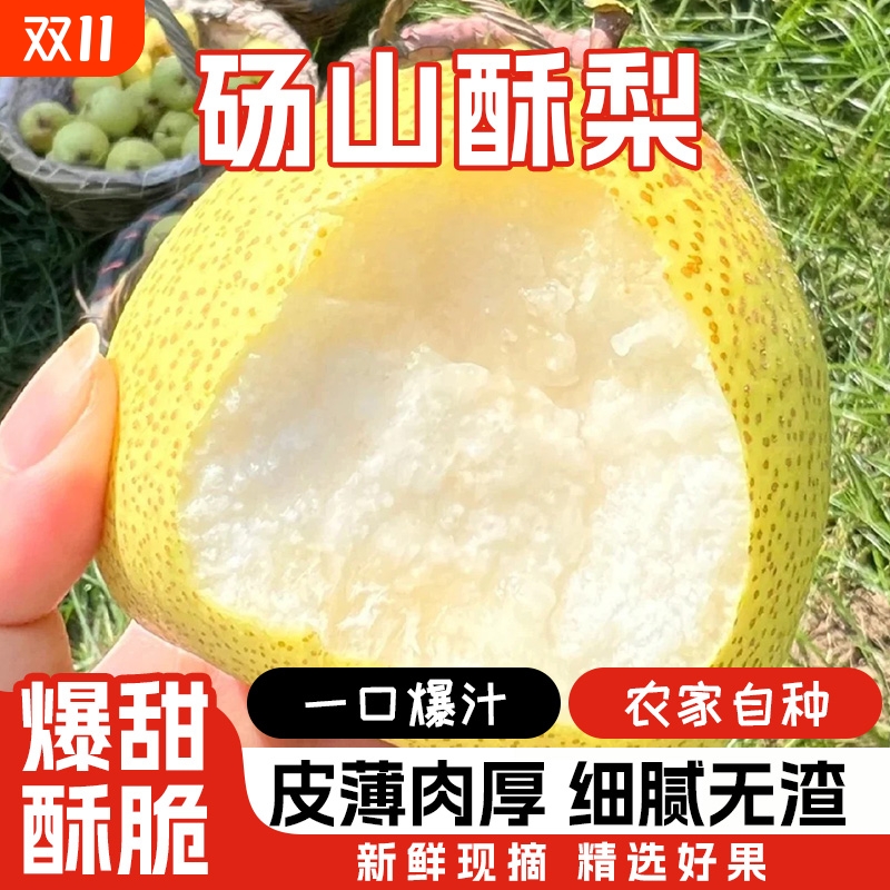 正宗安徽砀山酥梨当季整箱梨子新鲜时令水果应季雪梨砀山梨包邮