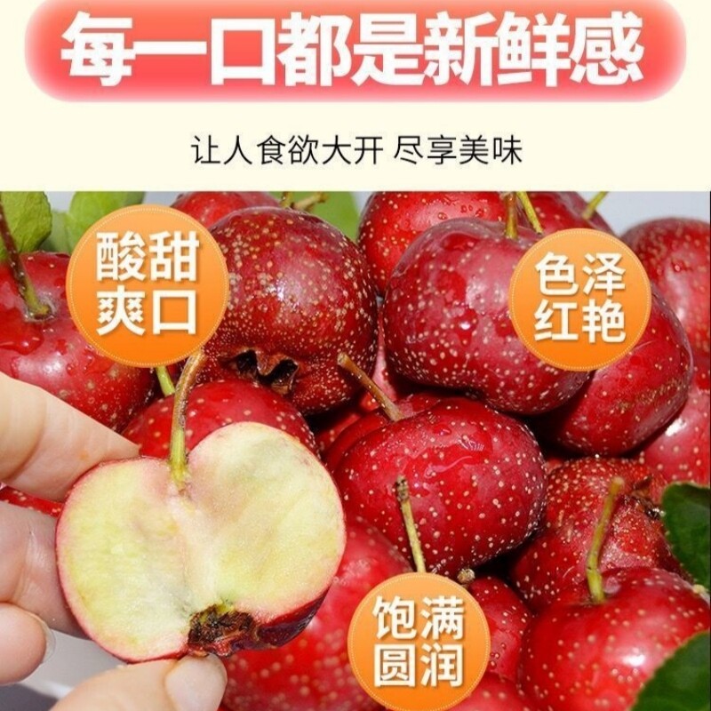 新鲜山楂鲜果红果雪球棉球冰糖葫芦原料自然成熟酸甜水果现摘大果