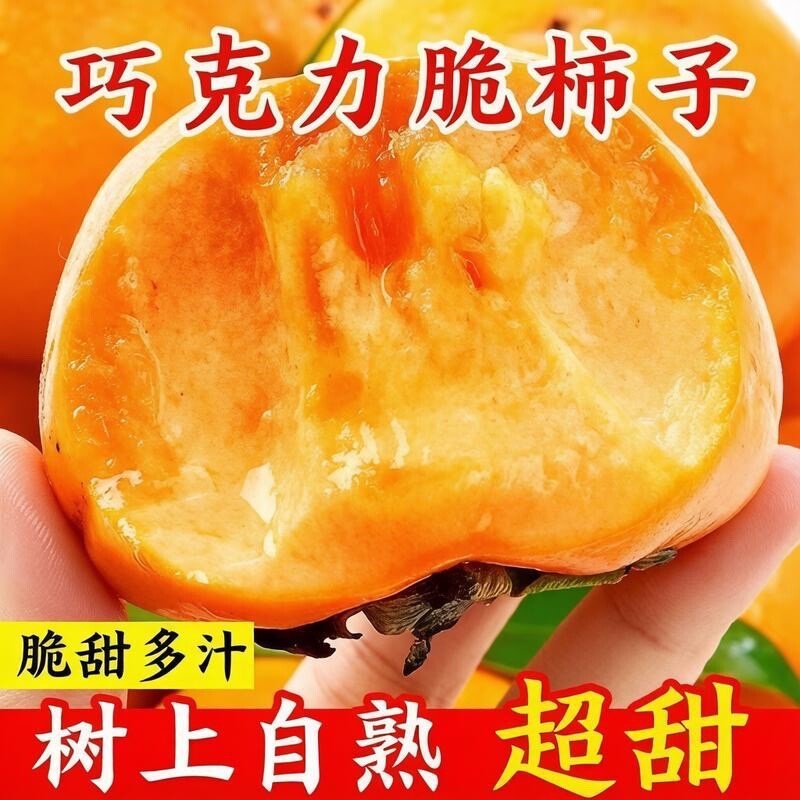 脆甜可口正宗阳丰脆柿巧克力脆柿子新鲜水果无核甜柿柿子现摘