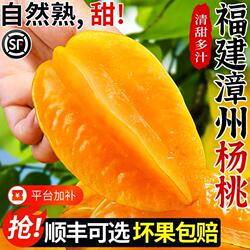 顺丰京东福建下河杨桃水果新鲜老树彩箱礼盒孕妇大果现摘树上熟