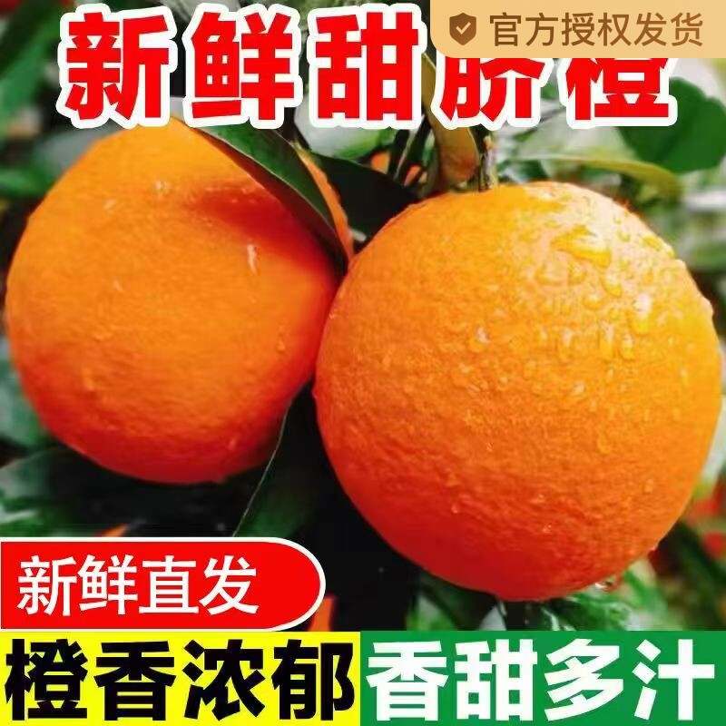 3�� 60mm-65mm����С���� ���ڸ�ɽ��ȳ������ʷǽ������Ϲ������ְ���ȵ��������и�ˮ��