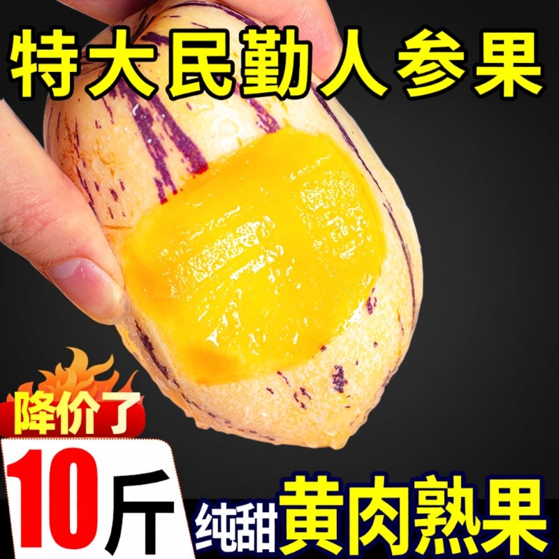 民勤人参果大果当季新鲜孕妇水果甘肃武威沙漠人叁黄肉人生果整箱