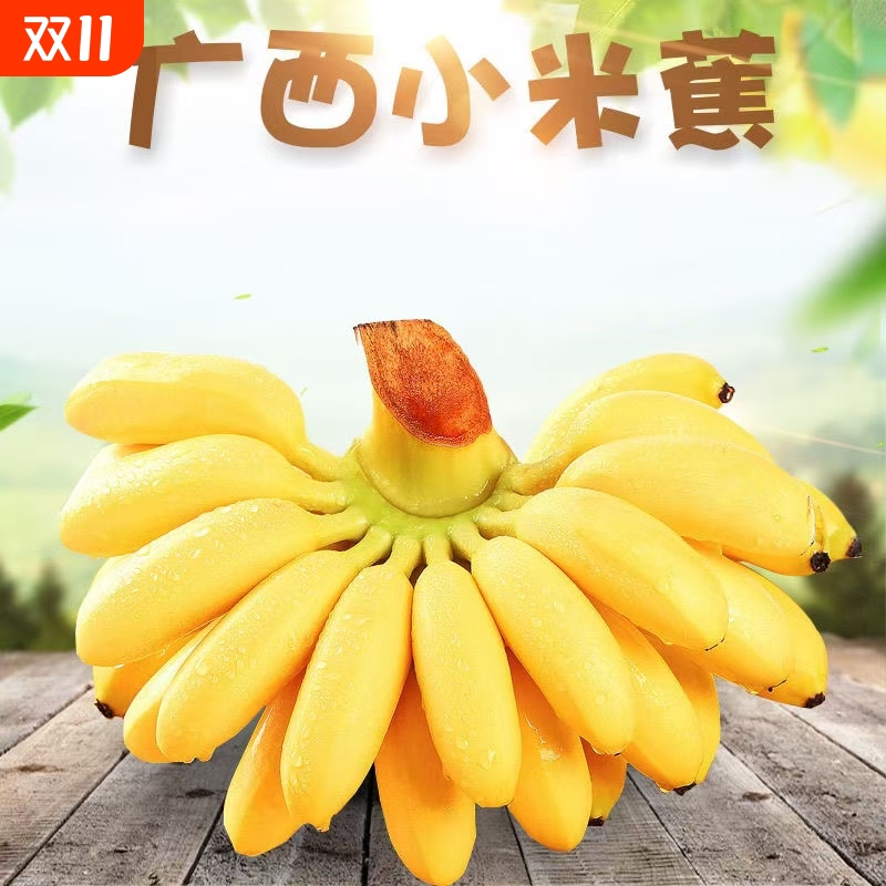 广西小米蕉芭蕉新鲜香蕉当季水果包邮小香非苹果蕉9斤自然熟整箱