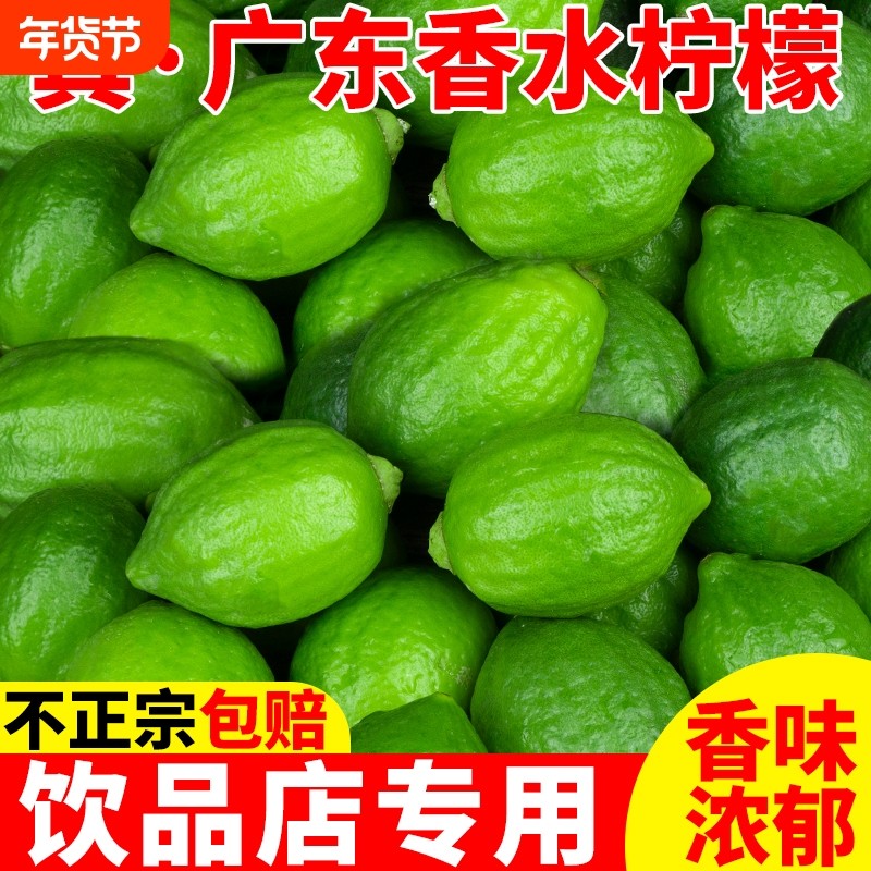 广东香水柠檬新鲜正宗青柠檬无籽大果一级果应当季水果奶茶店专用