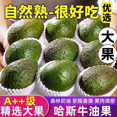 新鲜牛油果国产云南哈斯高山老农种植宝宝奶油水果包邮大果好吃
