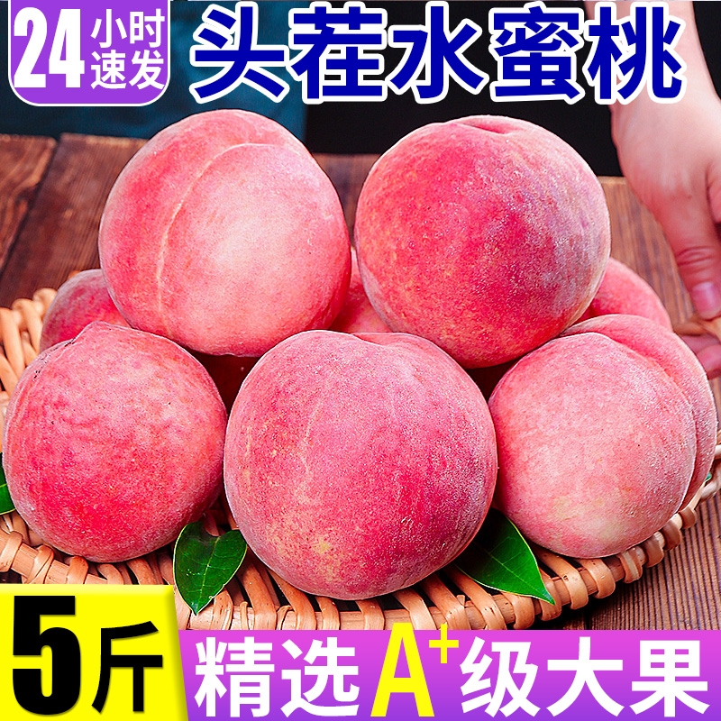 正宗水蜜桃现摘现发特甜多汁
