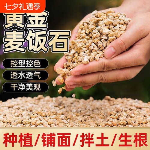 盛京植材多肉专用黄金麦饭石