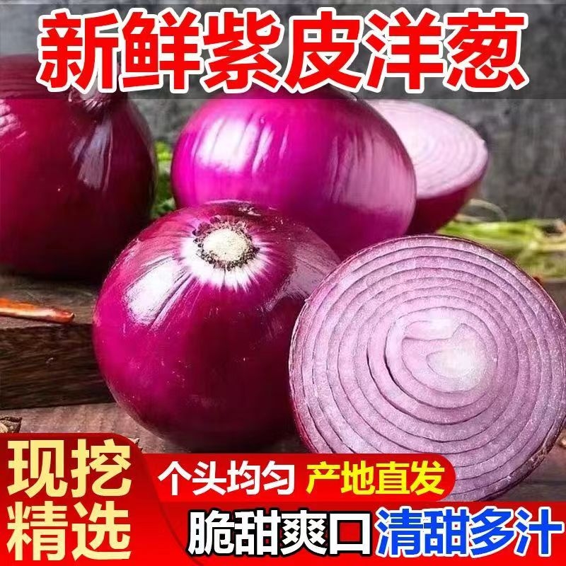 当季正宗新鲜紫皮红洋葱深紫色生吃水果洋葱圆葱蔬菜包邮
