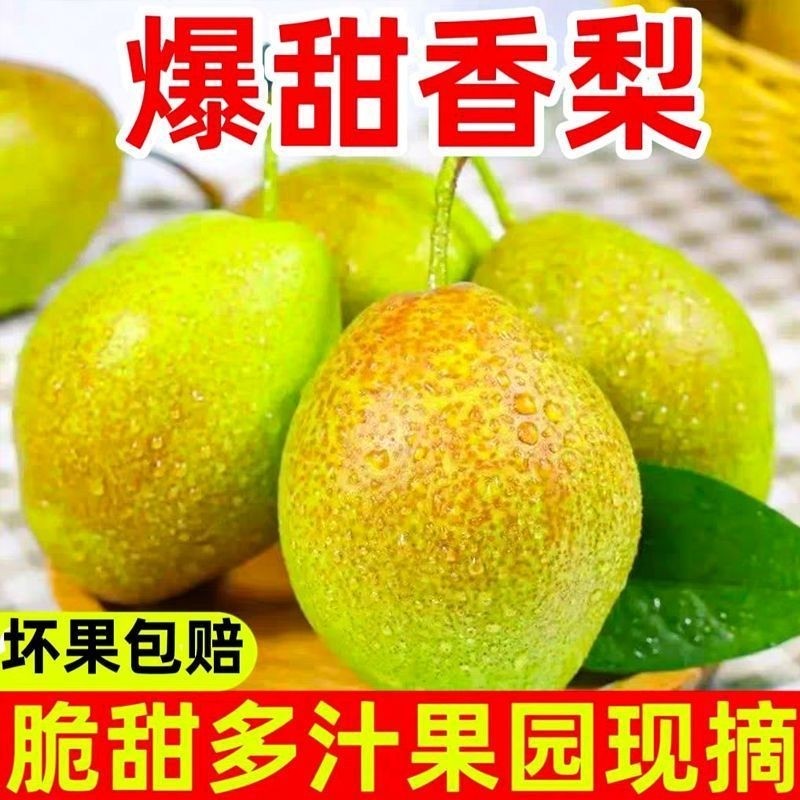 【现摘】新鲜水果梨子现摘现发红香酥梨孕妇香梨一整箱批发脆甜,水产肉类/新鲜蔬果/熟食,梨,淘宝优惠券,粉丝福利购,淘宝优惠卷