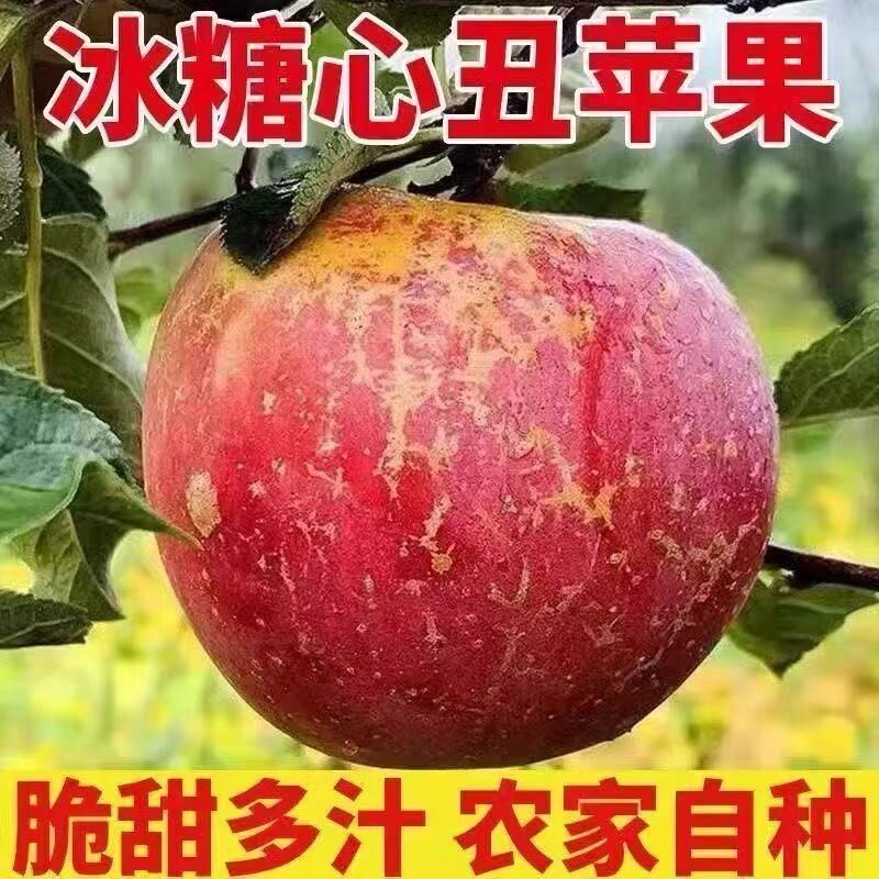 批发正宗红富士苹果新鲜脆甜水果当季现摘冰糖心整箱鲜果大果优选