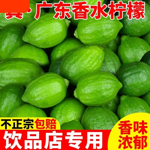 广东香水柠檬新鲜正宗青柠檬无籽大果一级果应当季水果奶茶店专用