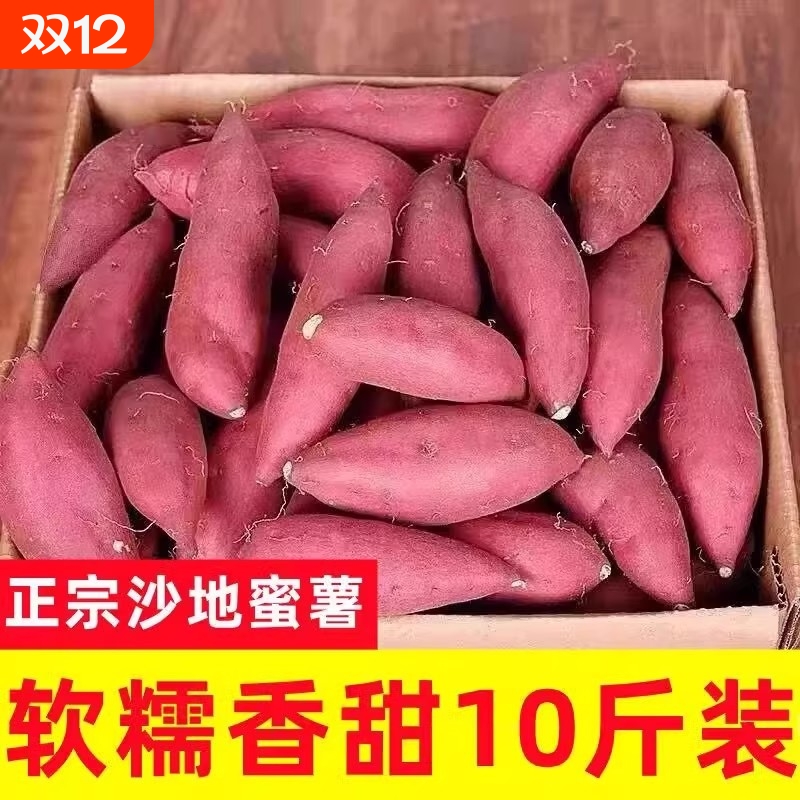 现挖板栗新红薯香薯粉糯甜沙地红蜜薯农产品番薯地瓜山芋早餐香甜