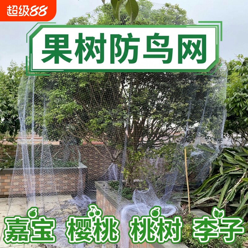 果树防鸟罩防鸟网防鸟用网果园尼龙透明泥鳅塘用网枇杷葡萄无花果