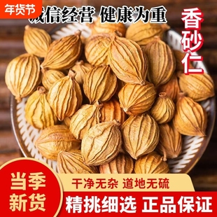 云南特产香砂仁金砂仁炖肉汤烧烤调料香料卤料包香沙花椒地道散装