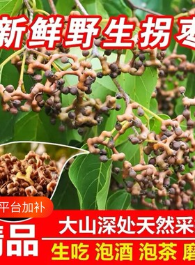 野生拐枣 新鲜拐枣煲汤泡酒 当季水果泡茶水万寿果鸡爪梨干金钩子