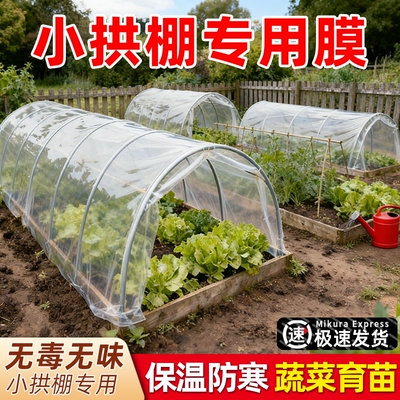 种菜小拱棚膜加厚大棚塑料膜蔬菜保温专用膜育苗薄膜农用防水种植