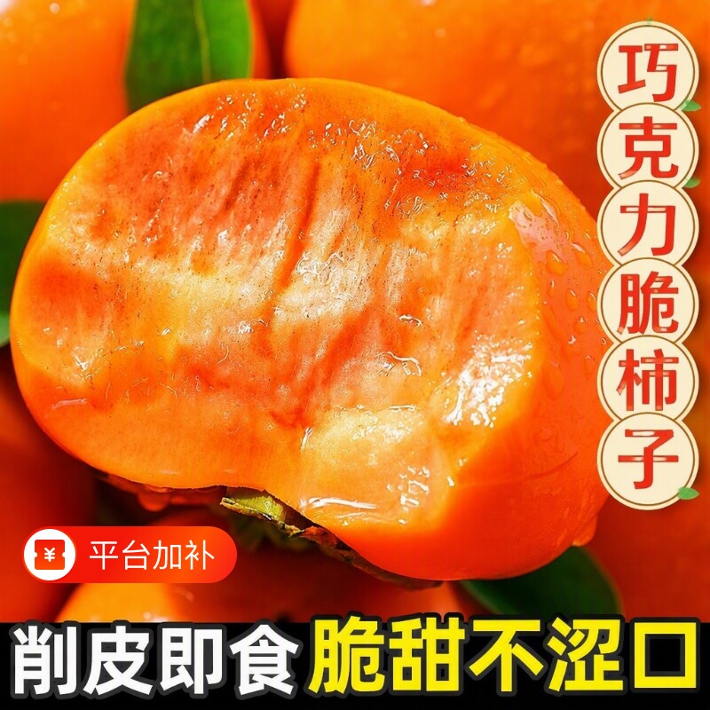 阳丰脆正宗巧克力脆柿新鲜冰糖应季柿子无核批发水果当季天内发货