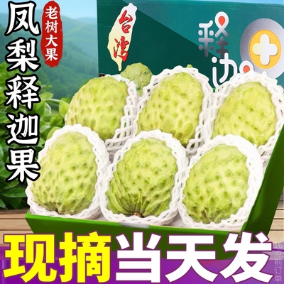 礼盒装  凤梨释迦果当季现摘番荔枝5斤大果新鲜水果大目林檎摩尼