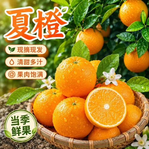 正宗夏橙脐橙秭归手剥橙子