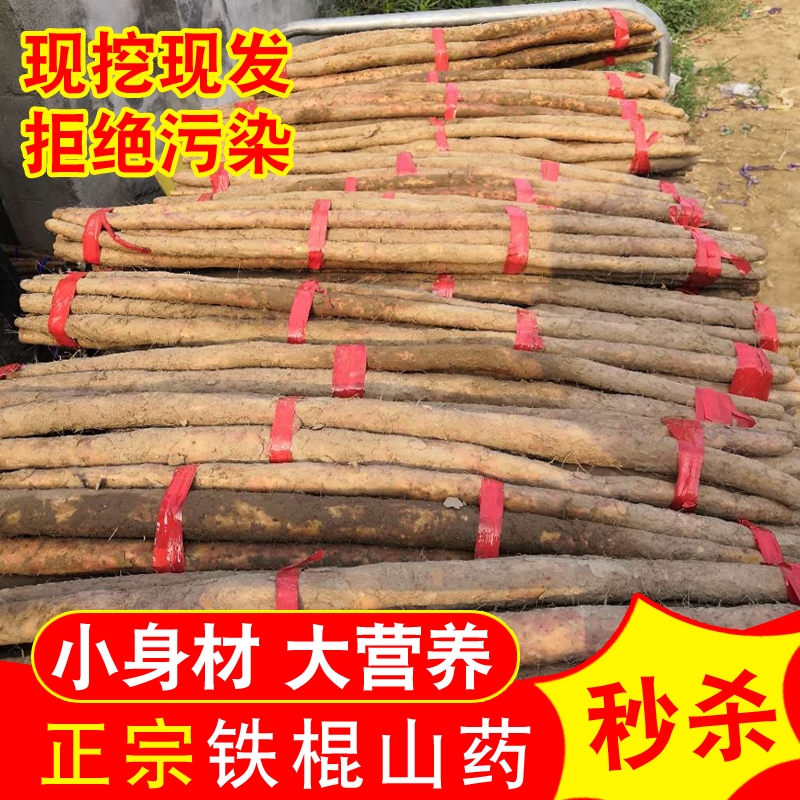 正宗铁棍怀山药新鲜现挖铁杆淮山粉糯小白嘴山药铁棒山约批发包邮
