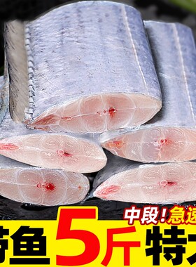 海鱼带鱼段新鲜冷冻四指特大中段深海海鲜海捕刀鱼整条鱼肉水产