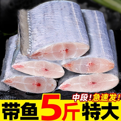 海鱼带鱼段新鲜冷冻四指特大中段深海海鲜海捕刀鱼整条鱼肉水产