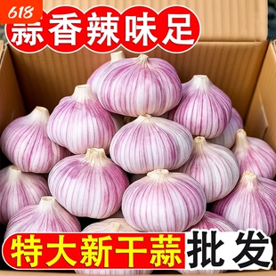 山东金乡紫皮大蒜头干蒜批发农家自种新鲜蔬菜红皮大蒜子蒜蓉蒜米