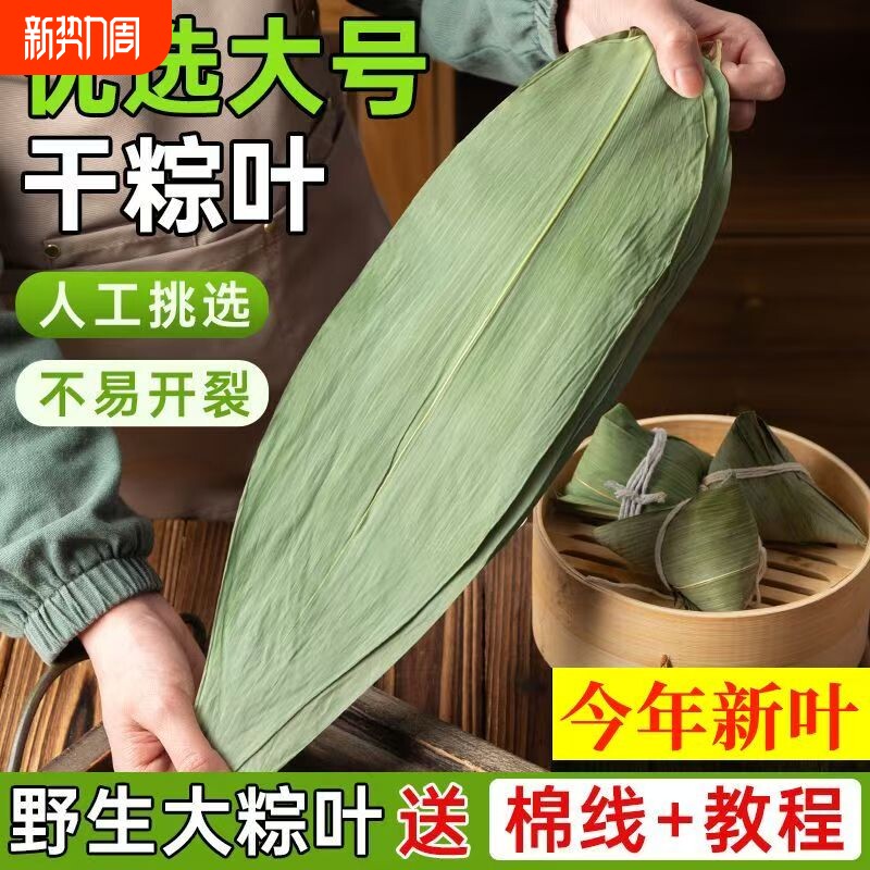 特大号野生干粽叶新鲜包粽子箬叶端午必备粽叶干大号家用粽子叶干