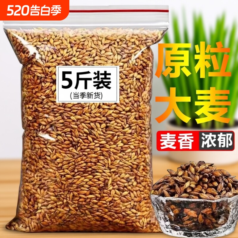 大麦茶2500g原味散装茶叶饭店酒店枸杞玫瑰决明子泡茶清香烘焙