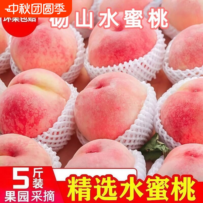 砀山水蜜桃大果新鲜水果现摘脆甜时令孕妇桃子蒙阴当季整箱天水