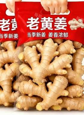 【云南老姜】新鲜现挖生姜香辣老姜农家月子姜农家种植老母姜家用