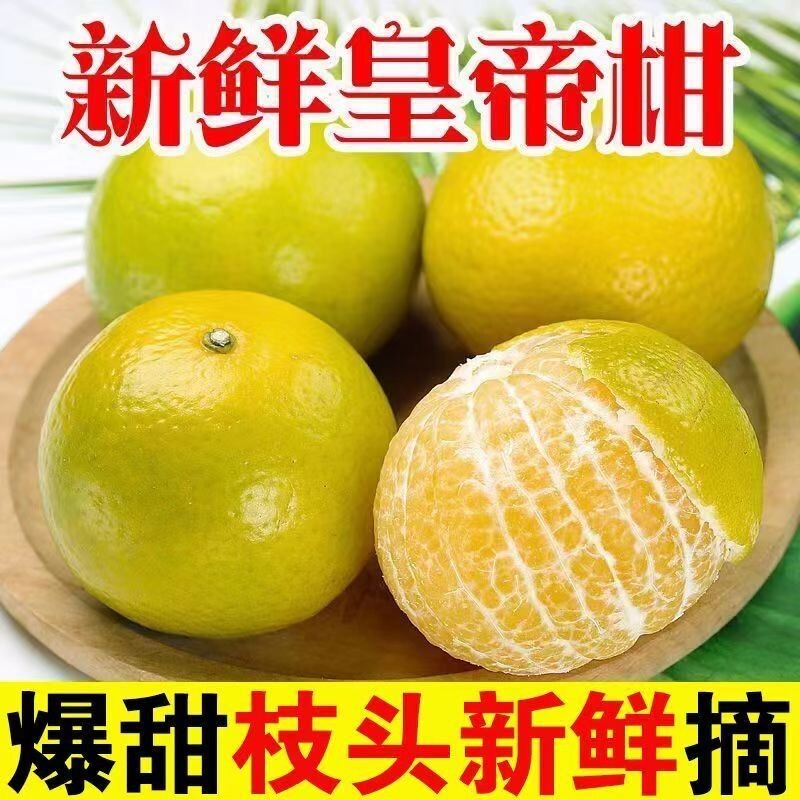 正宗广西皇帝柑新鲜桔子橘子水果贡柑甜橘不是云南冰糖橙冒充的