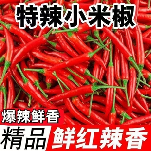 精选小米椒新鲜薄皮特辣香辣十足朝天椒红辣椒指天椒包邮原产鲜辣