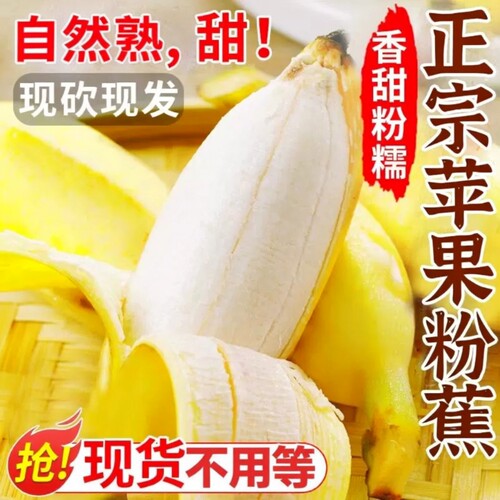 苹果蕉正宗香蕉芭蕉当季整箱