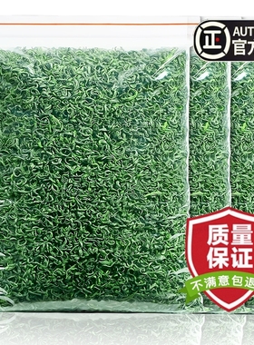 高山绿茶毛尖明前嫩芽春茶2025新茶叶正品浓香型云雾炒青茶散装
