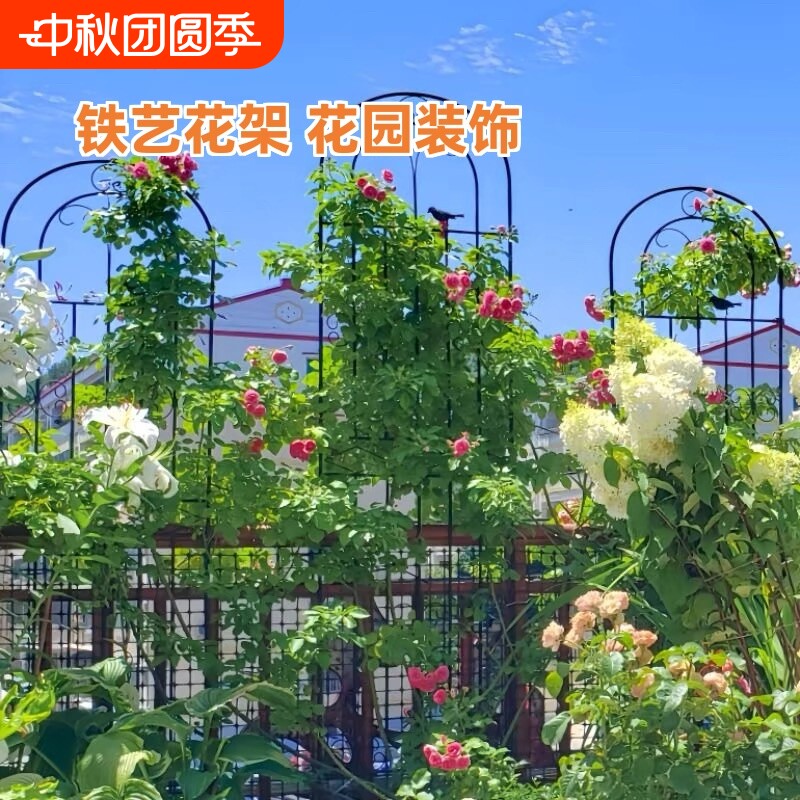 户外铁艺花园黑色花架|千人回购图片