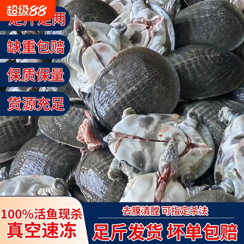甲鱼杀后净重外塘鲜活宰杀大小老鳖滋补公母中华鳖食用麻辣冷冻图片