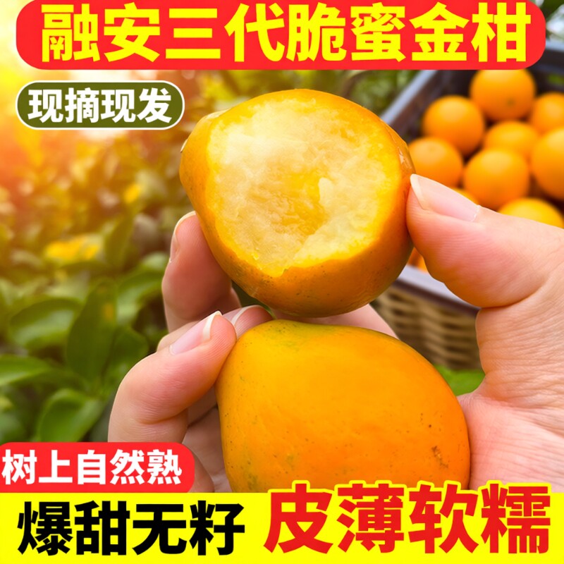 顺丰包邮融安脆蜜金柑广西正宗第三代脆蜜金桔特大果花皮新鲜水果