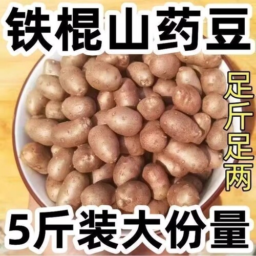 农家种植新鲜铁棍山药豆小白嘴山药蛋产地直发冰糖葫芦用