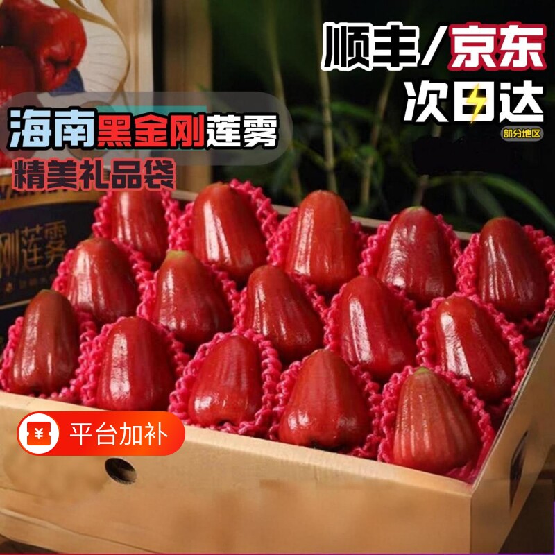 莲雾顺丰海南三亚黑金刚大果新鲜应季水果包邮连雾热带礼盒正宗