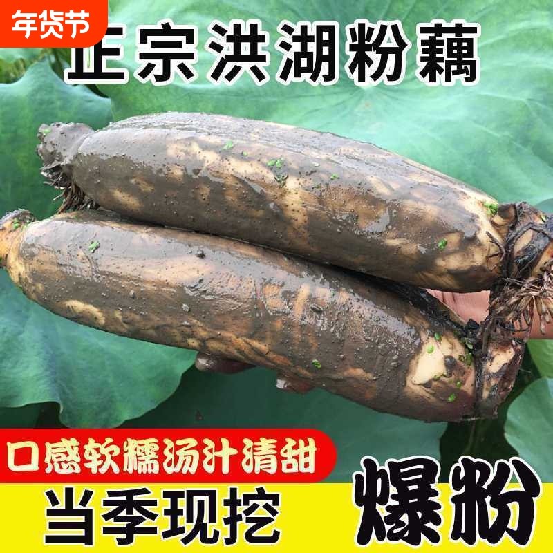 正宗洪湖粉藕湖北特产莲藕煲汤炖汤新鲜糖藕糯米藕九孔红现挖当季,水产肉类/新鲜蔬果/熟食,莲藕,淘宝优惠券,粉丝福利购,淘宝优惠卷