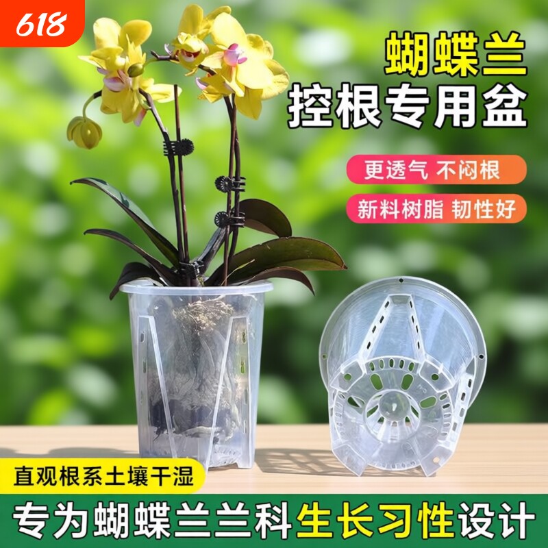 透明控根盆青山盆蝴蝶兰花盆专用兰水苔塑料透气镂空大号家用托盘