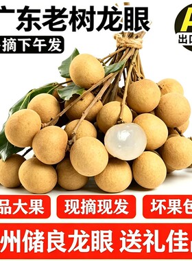 现货广东储良龙眼大果新鲜石硖龙眼水果当季高州桂圆整箱顺丰包邮