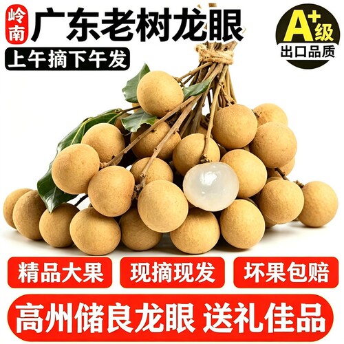 现货广东储良龙眼大果新鲜石硖龙眼水果当季高州桂圆整箱顺丰包邮