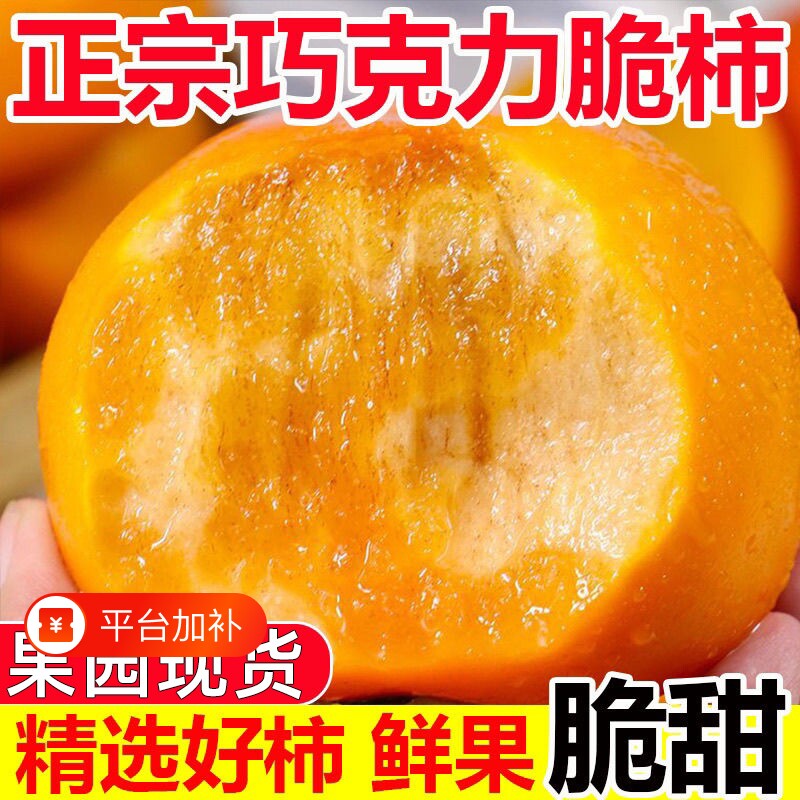巧克力脆柿子新鲜水果柿子当季正宗冰糖心黄甜脆火晶整箱包邮脆甜