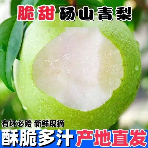 正宗砀山青梨新鲜水果皇冠梨